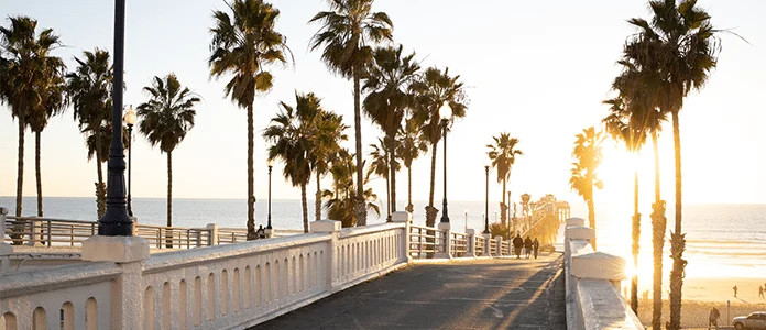 Breaking Barriers: California on the Verge of Legalizing Psychedelics
