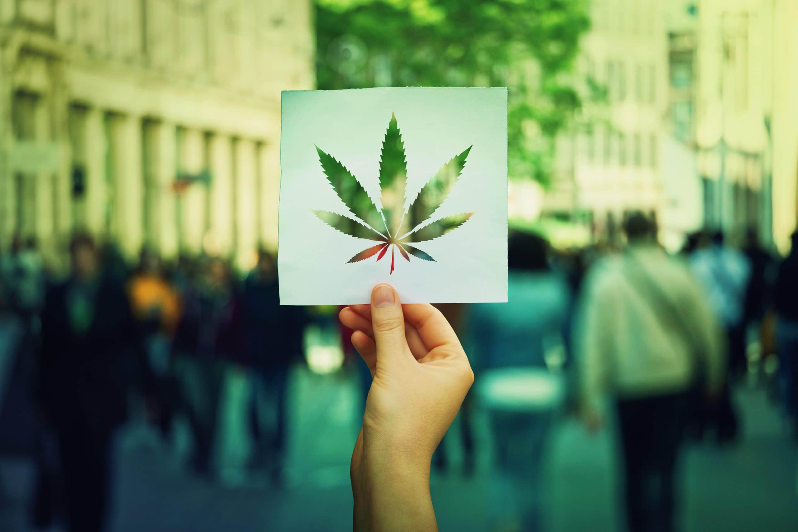 The Real Winners in Prosecuting Unlicensed Cannabis Retailers? The Promoters