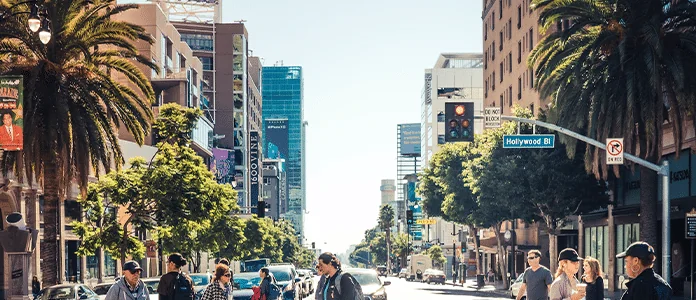 “Sham Unions”: Alleged Labor Law Violations Shake California’s Booming Cannabis Industry
