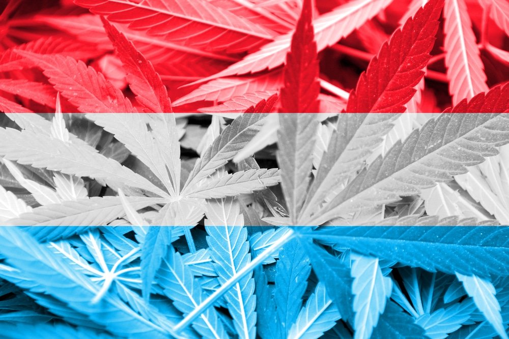 Luxembourg Moves Closer to Becoming EU’s First to Legalize Cannabis