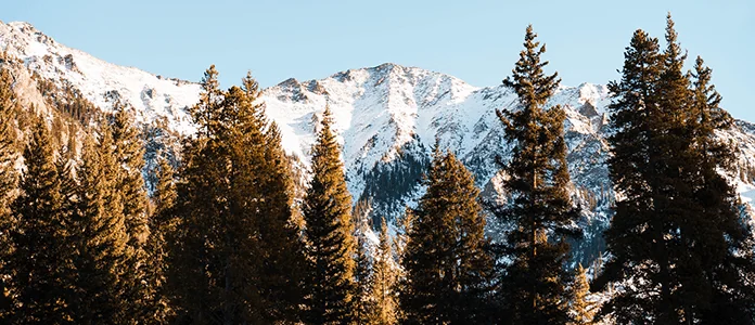 Prop 122: Advisory Board Appointed by Governor Polis of Colorado and Legislative Updates