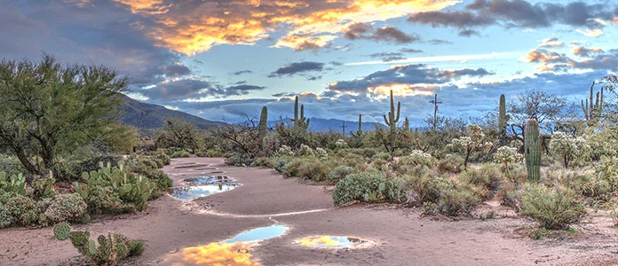 Wait….Arizona is Issuing New Medical Marijuana Licenses?